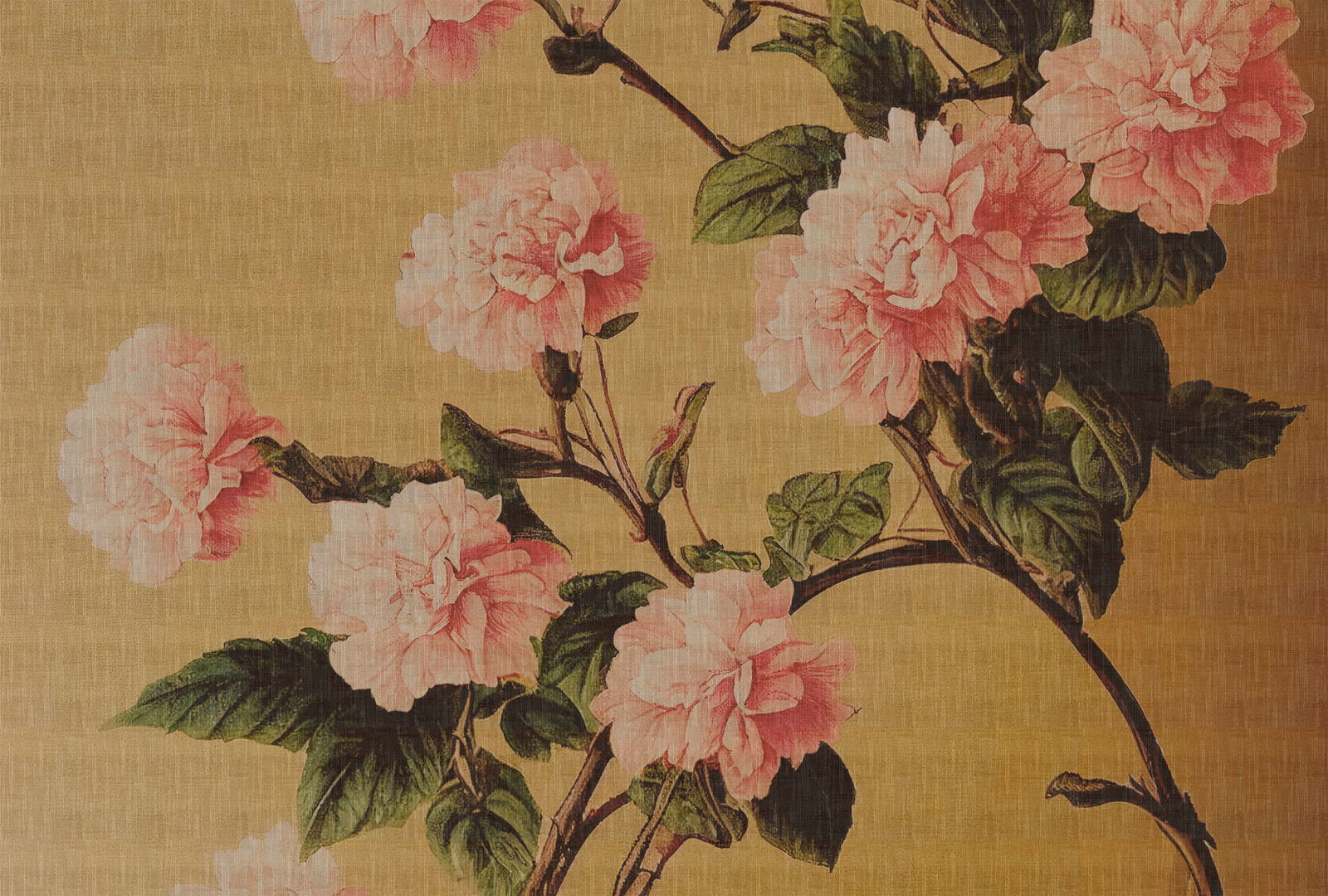 walls by patel Photo wallpaper Walls by Patel 5