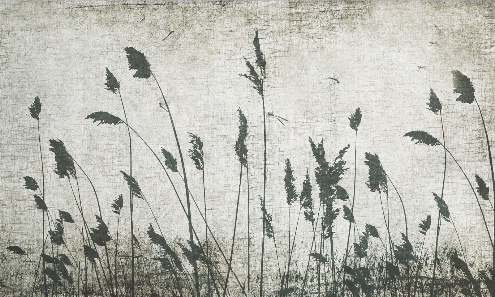 Architects Paper impression numérique AP Contract