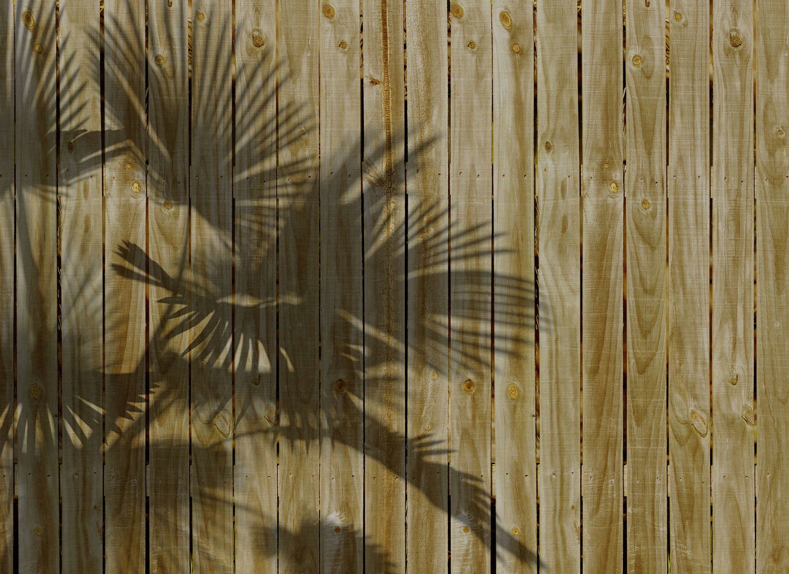 livingwalls Fotobehang Designwalls 2