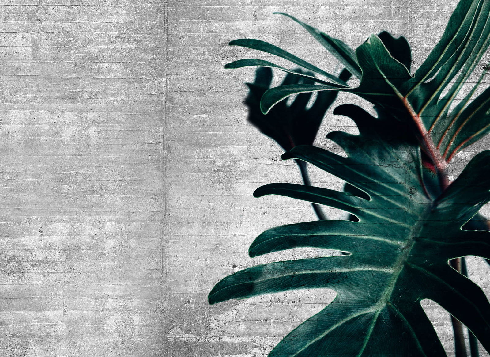 livingwalls Fotobehang Designwalls 2