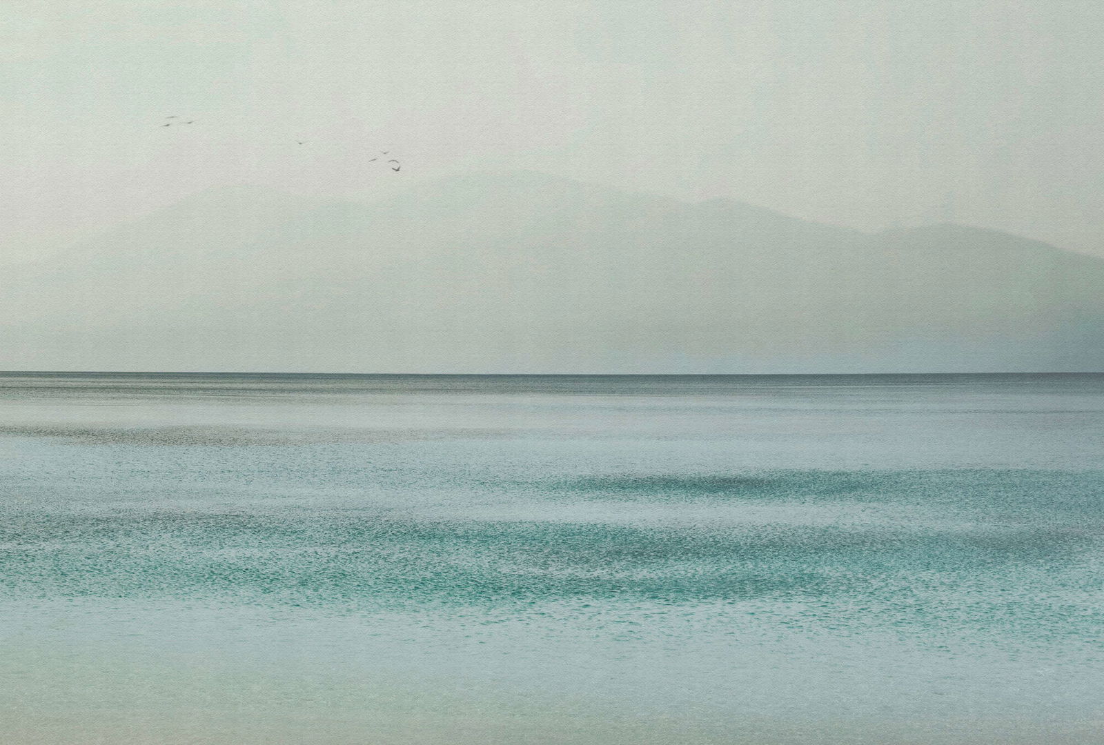 walls by patel Photo wallpaper Walls by Patel 5