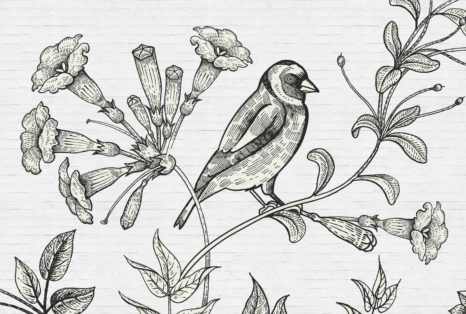 walls by patel impression numérique Walls by Patel