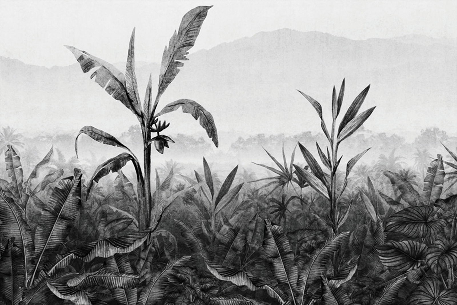 Architects Paper impression numérique AP Contract