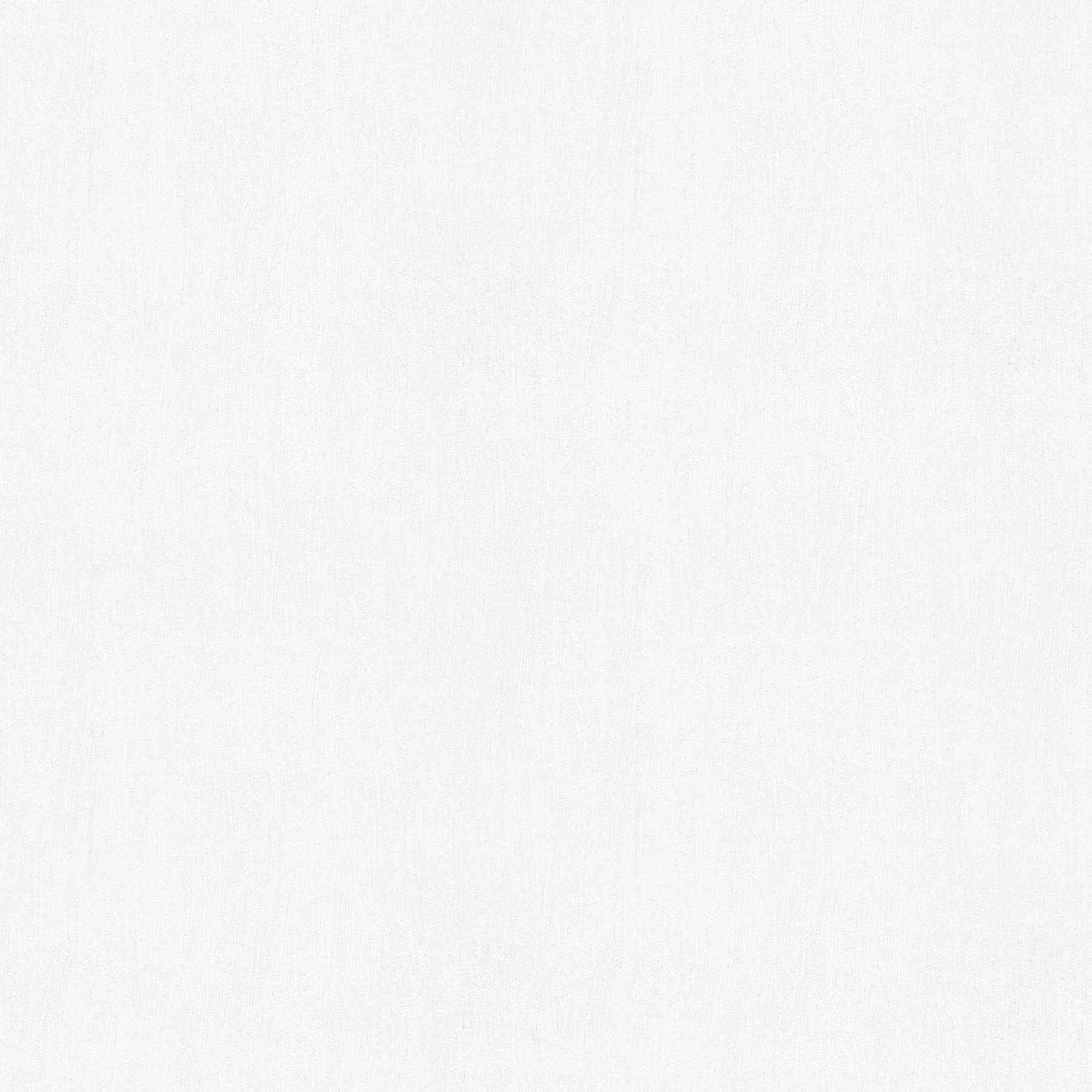 A.S. Création Tapete Meistervlies Create