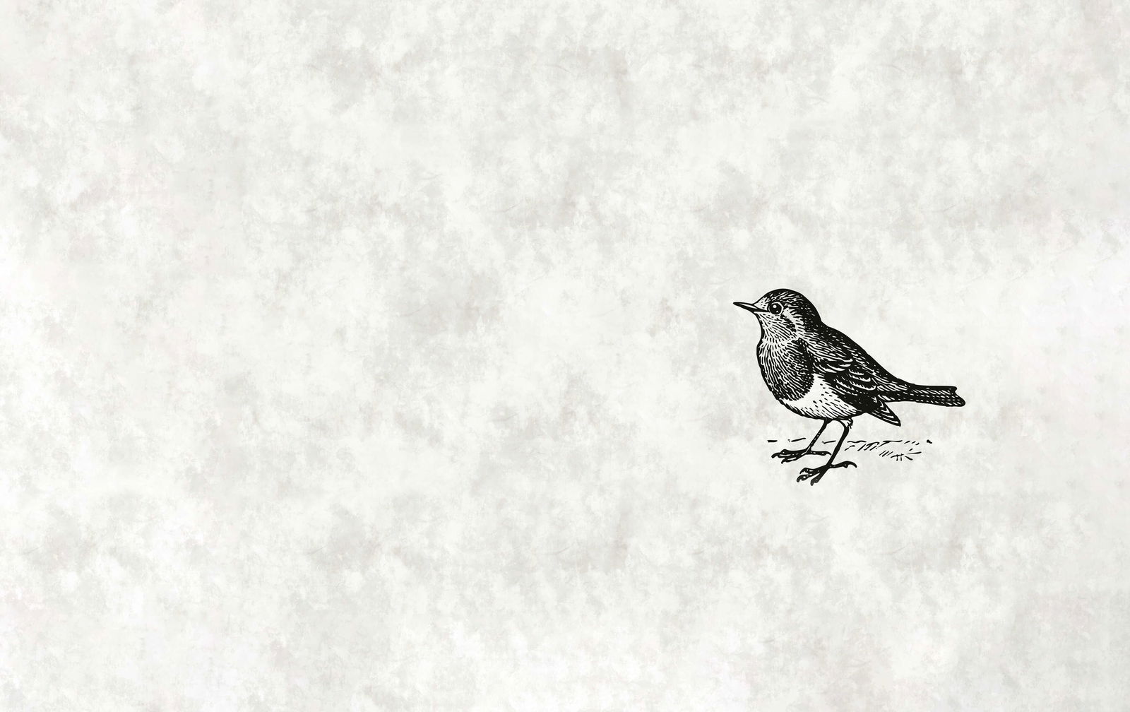 walls by patel impression numérique Walls by Patel