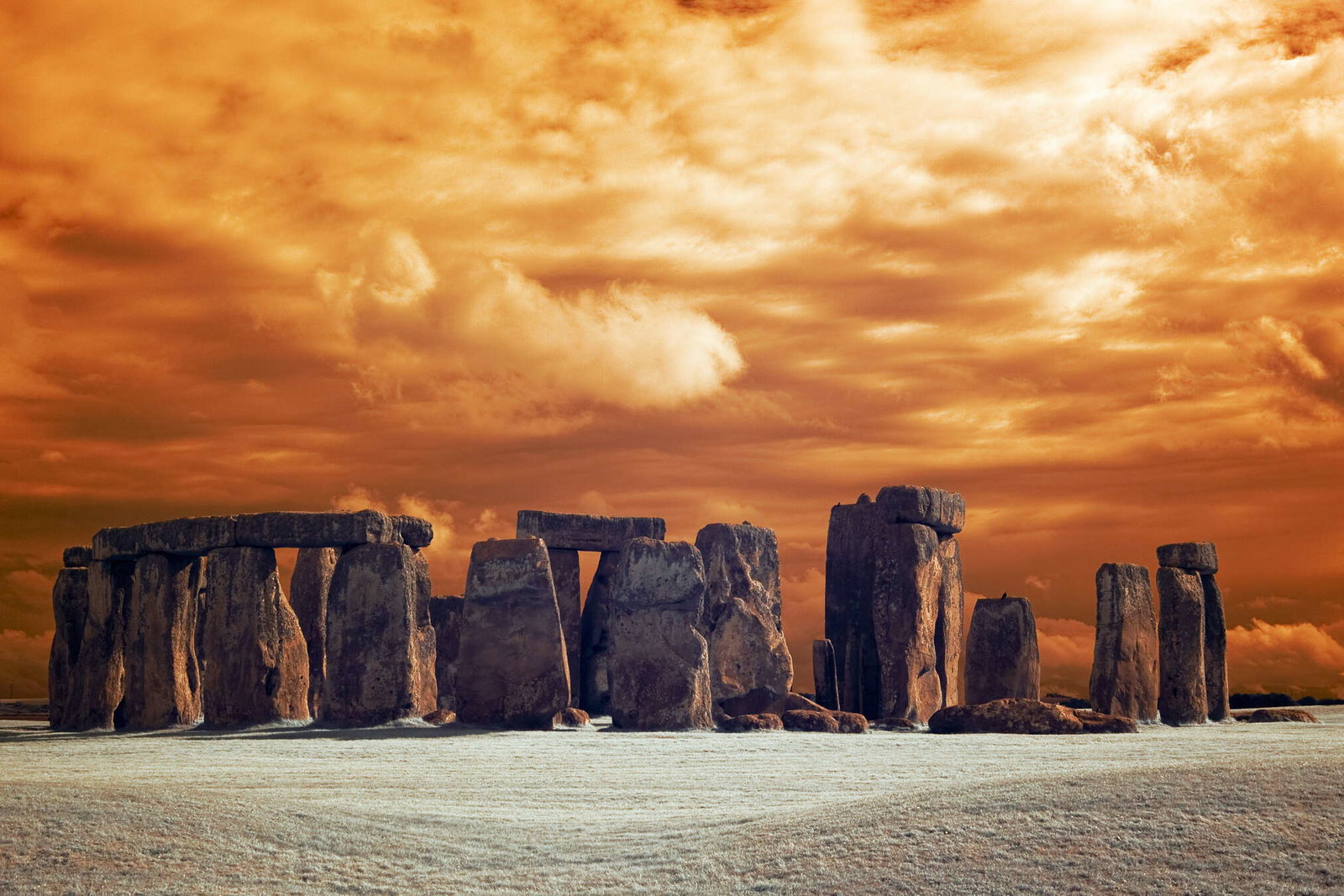 livingwalls Fotobehang XXLwallpaper 2