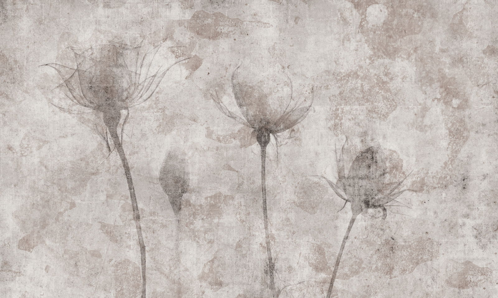 Architects Paper Фотообои AP Contract