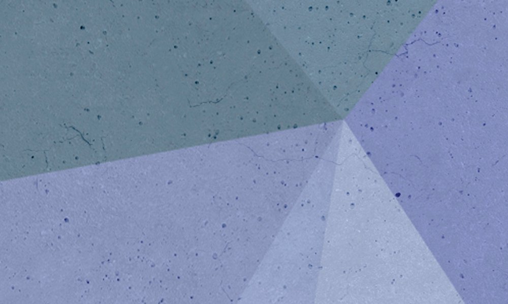 walls by patel impression numérique Walls by Patel