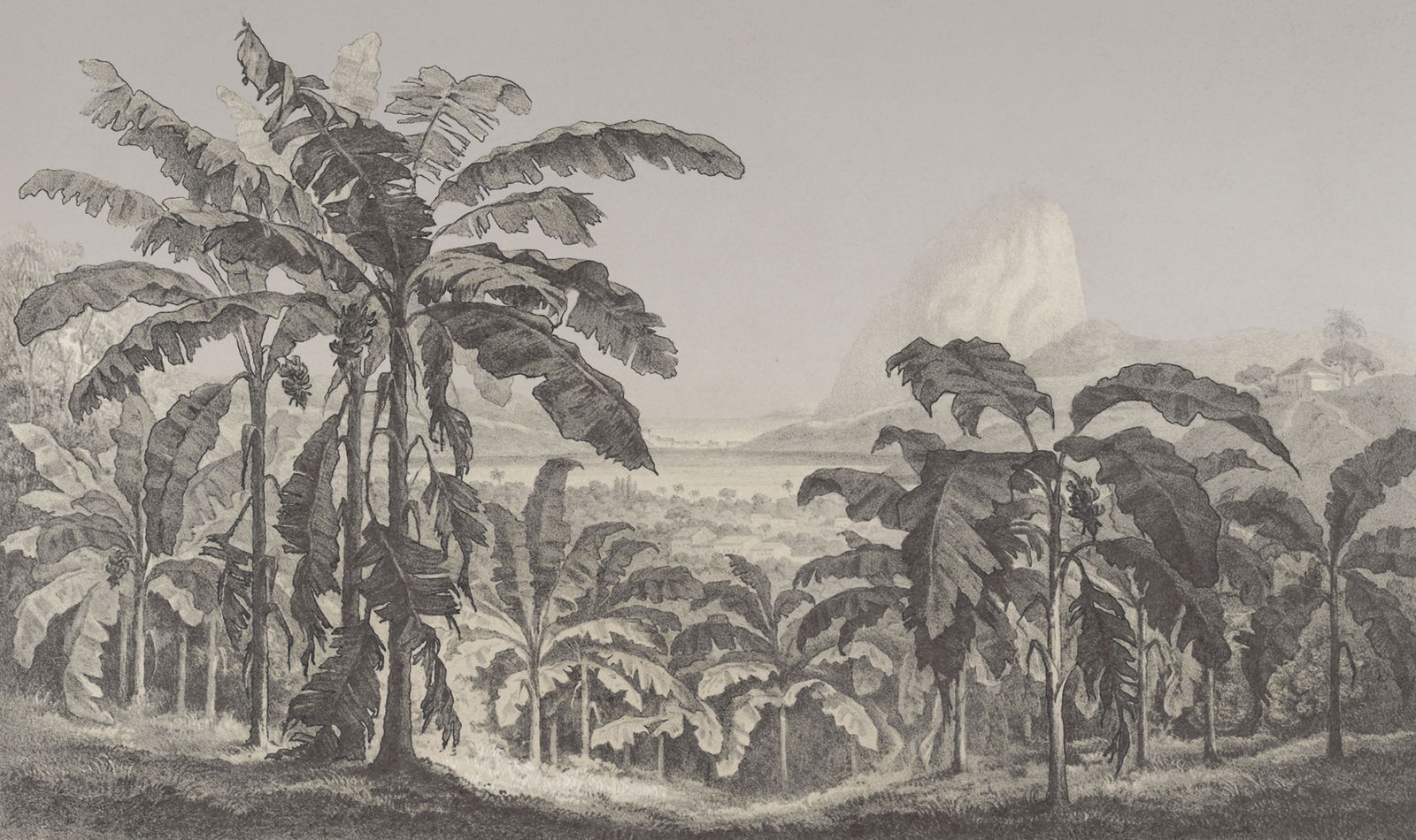 Architects Paper Fototapete AP Contract