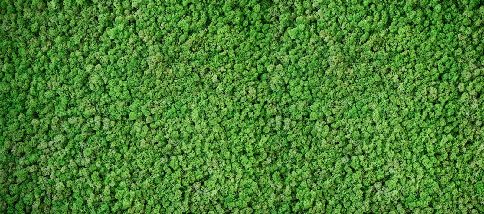 Architects Paper Fototapete AP Digital 4