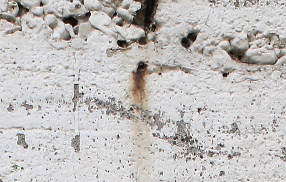 Architects Paper impression numérique AP Digital 3