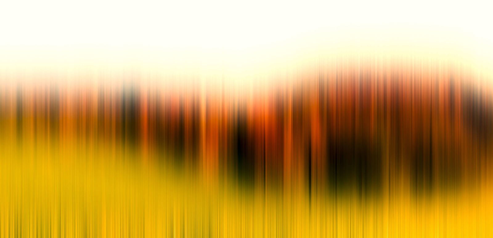 Architects Paper Fototapete Atelier 47