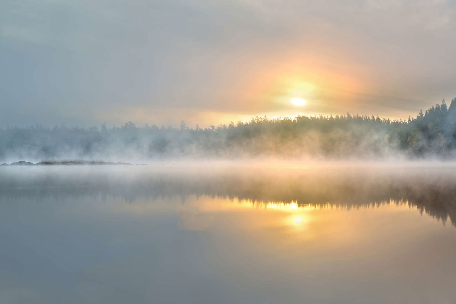 livingwalls Fototapete XXLwallpaper 3