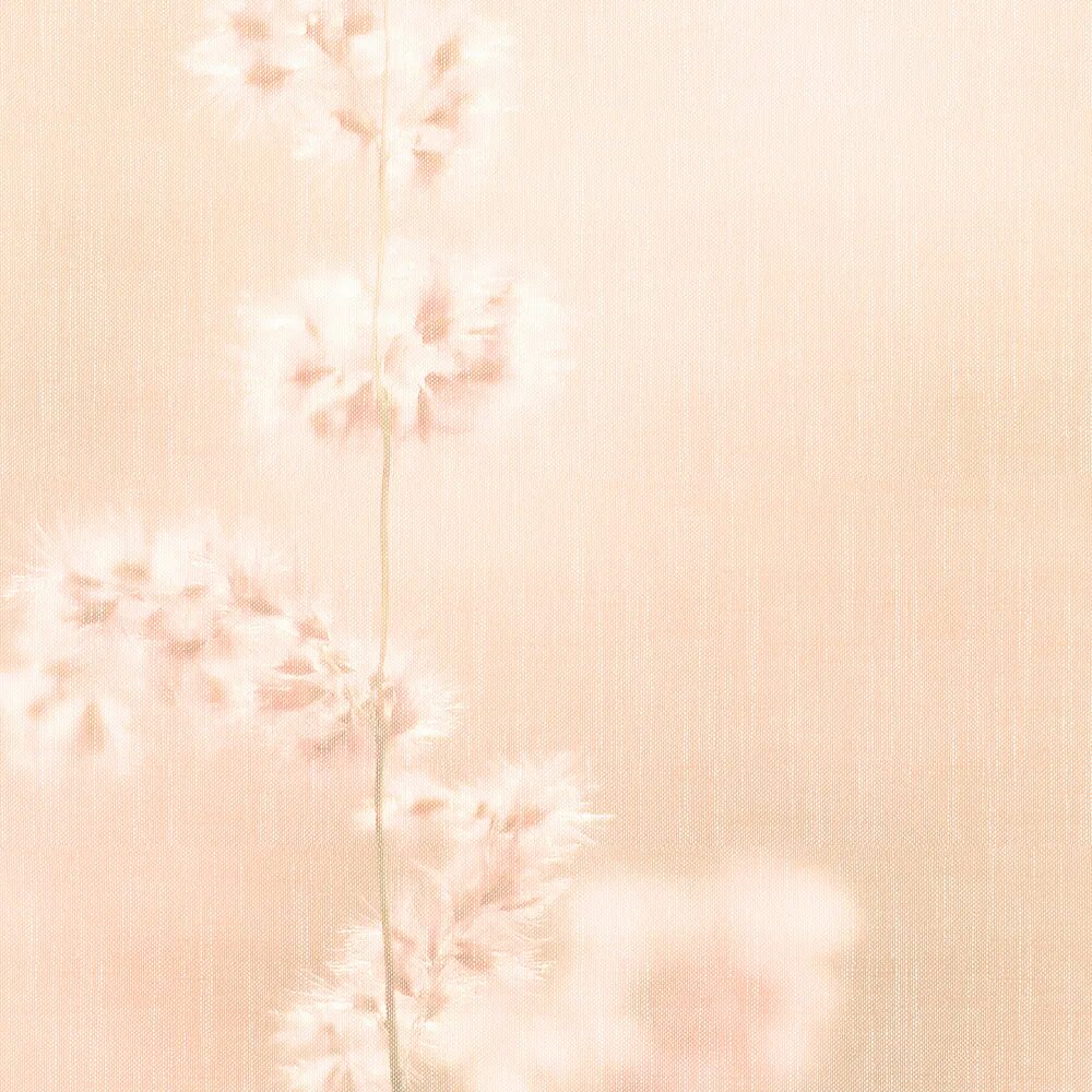 walls by patel Fotobehang Walls by Patel 5