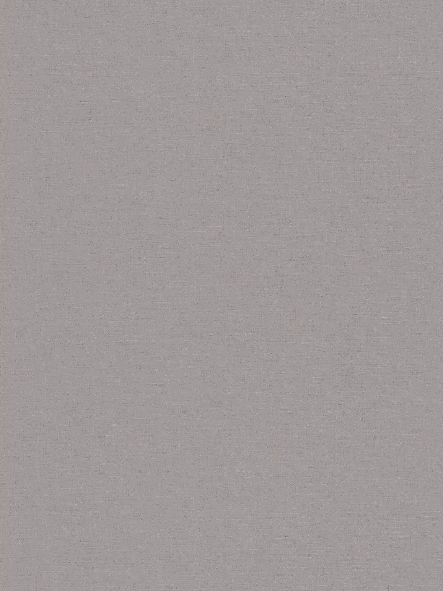 A.S. Création Behang House of Turnowsky