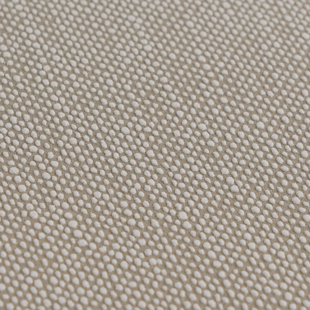 A.S. Création Обои Terra 2022