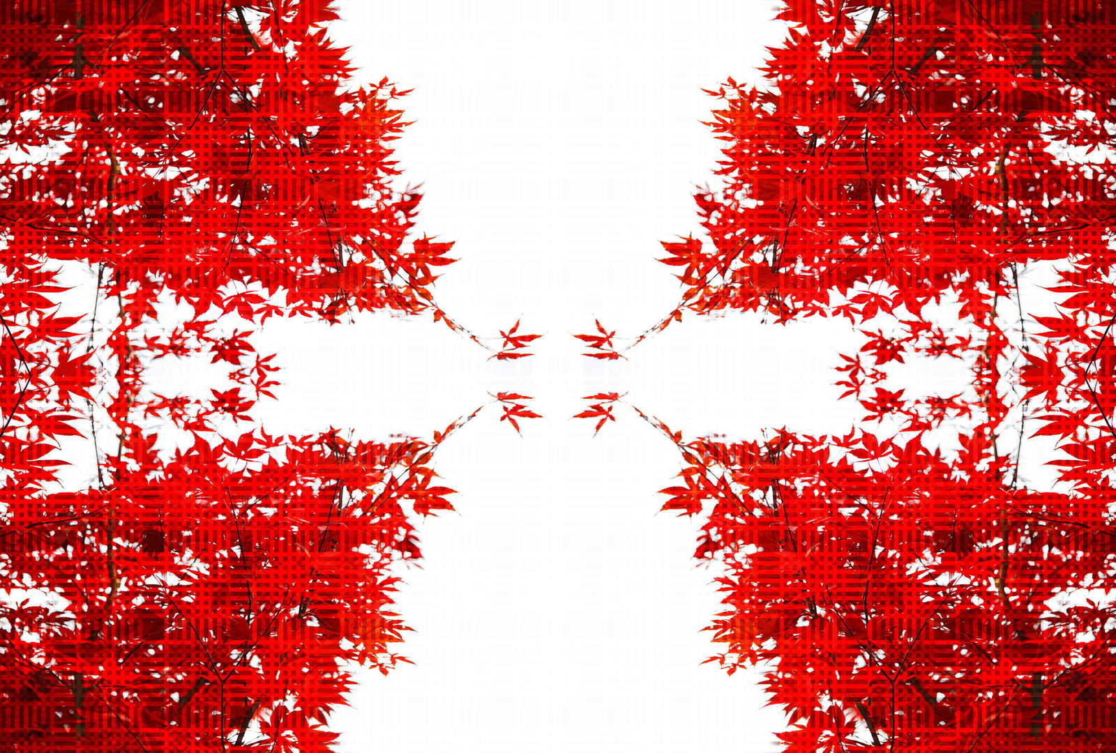 Architects Paper Фотообои AP Digital 4