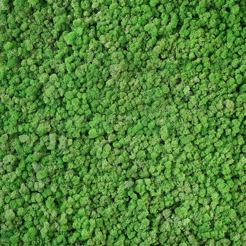 Architects Paper Photo wallpaper AP Digital 4