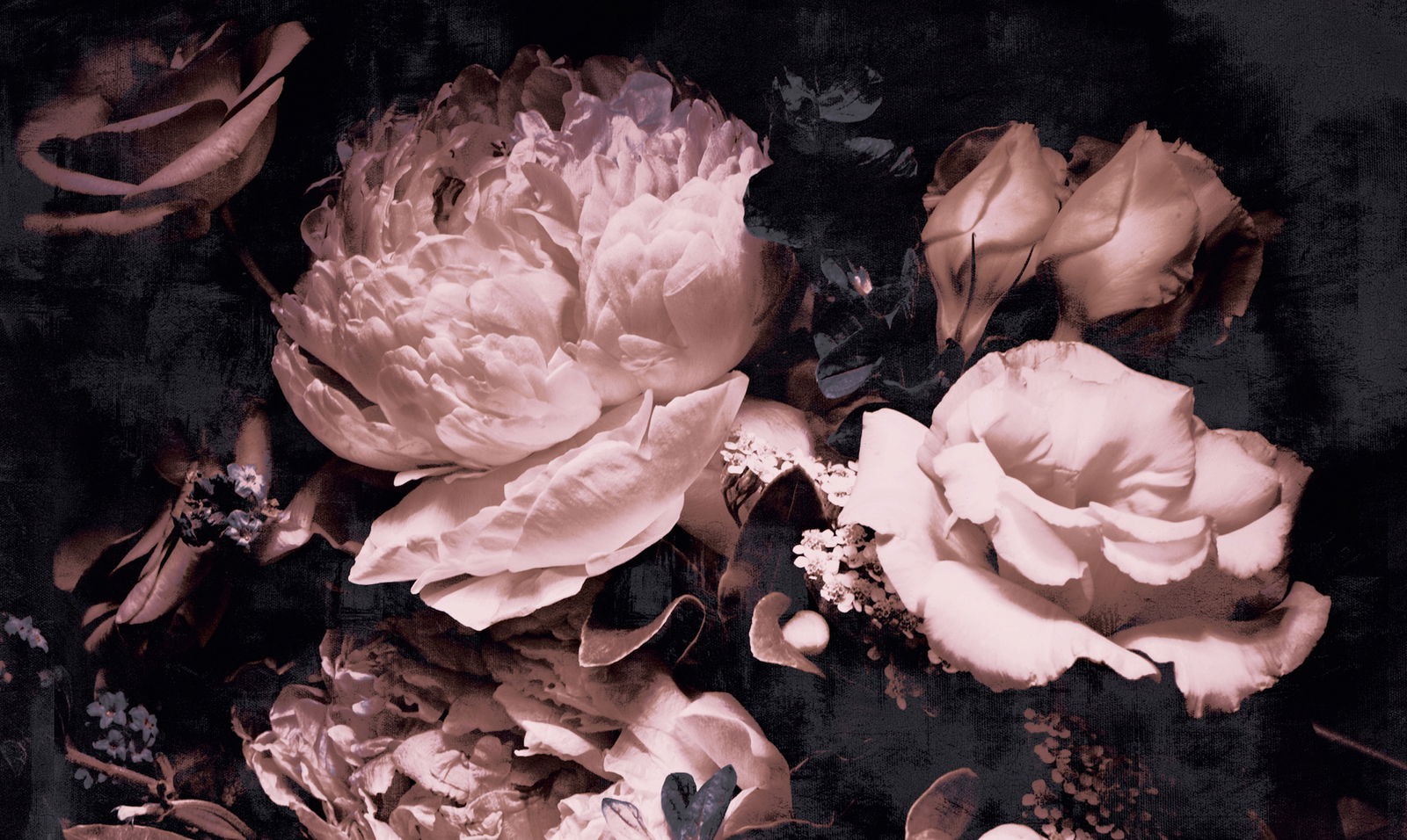 Architects Paper Fototapete AP Contract