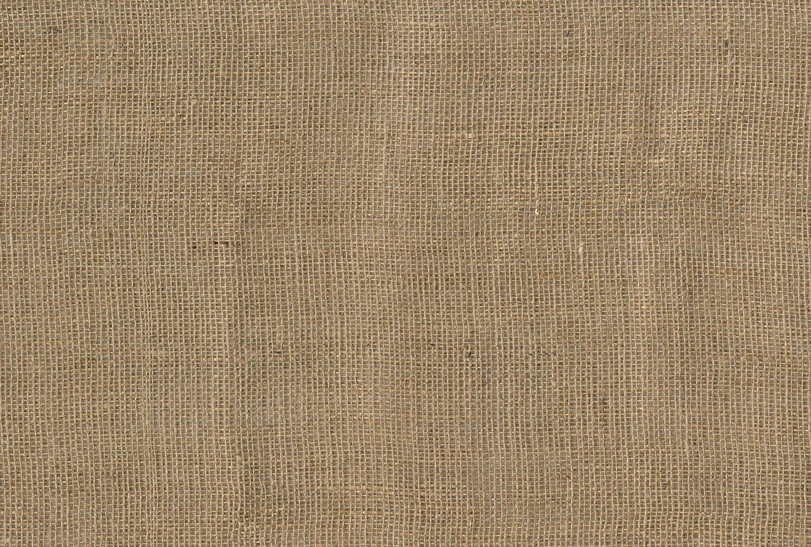 Architects Paper Photo wallpaper AP Digital 4