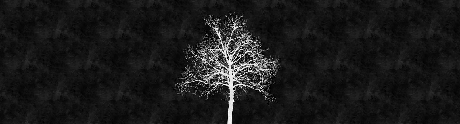 walls by patel Fotobehang Walls by Patel