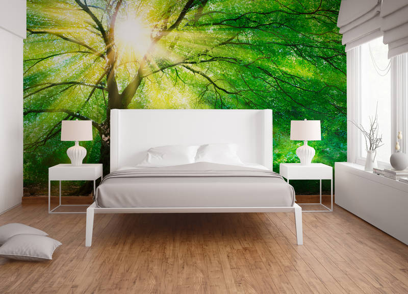 livingwalls Fototapete Designwalls