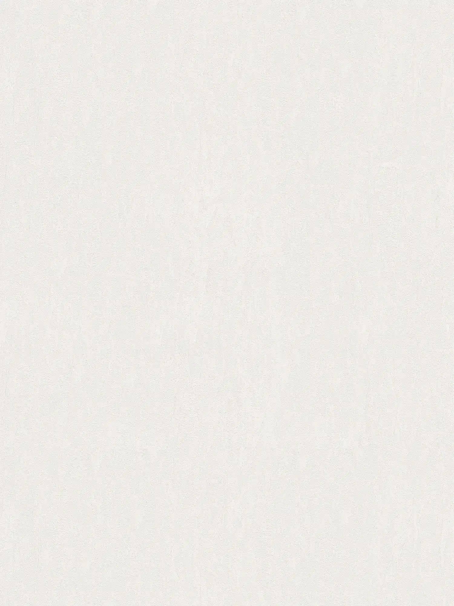 A.S. Création Wallpaper Shades of White