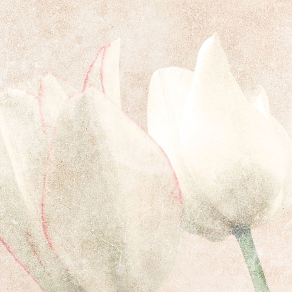 walls by patel Fotobehang Walls by Patel 3