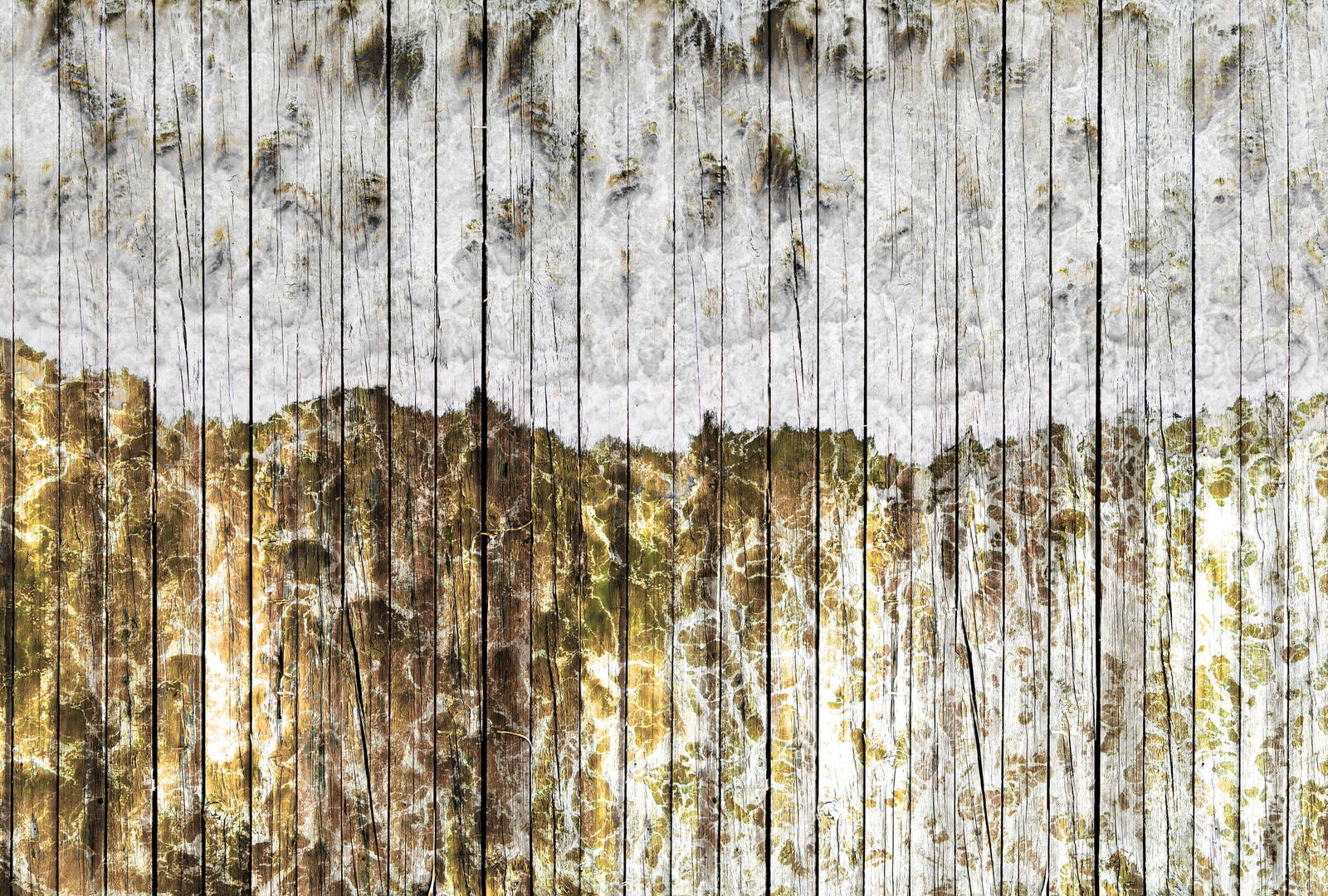 Architects Paper Fotobehang Atelier 47
