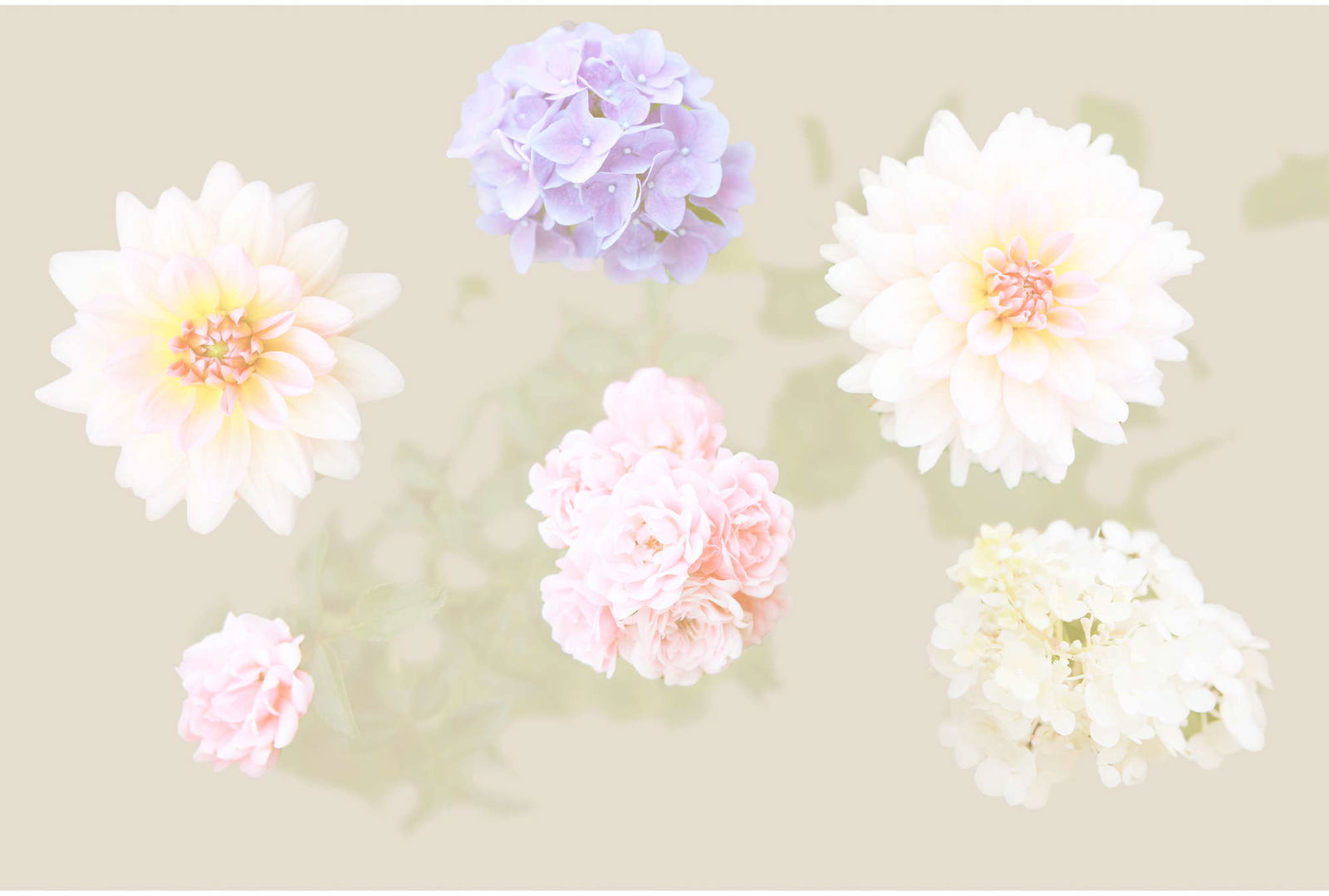 Architects Paper Photo wallpaper AP Digital 3