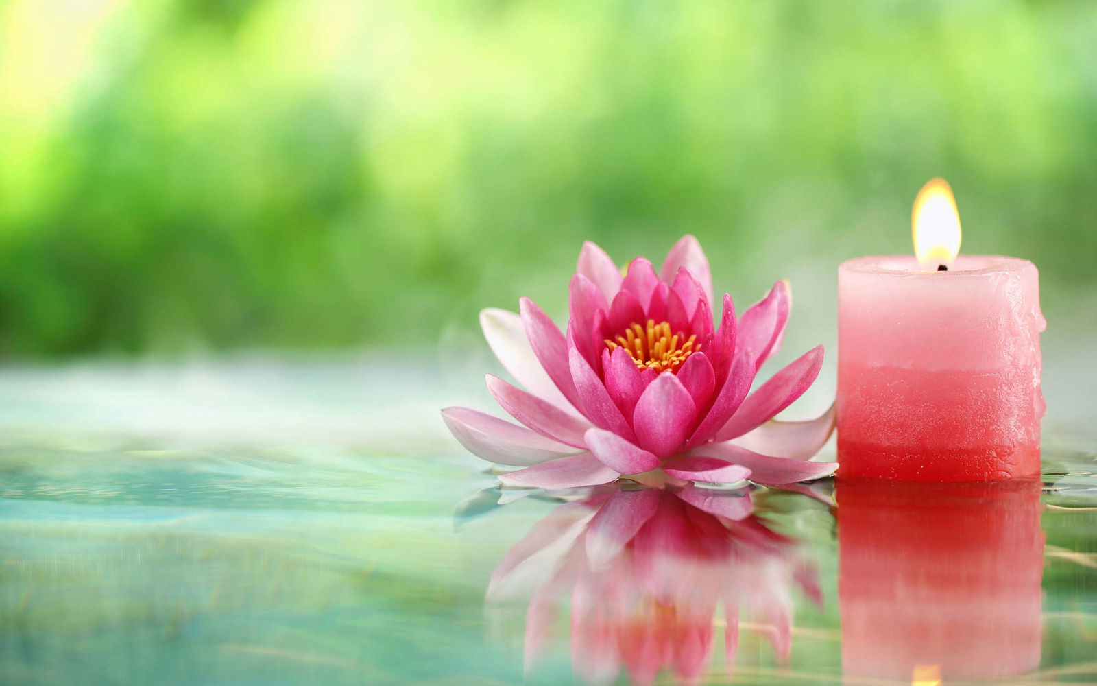 livingwalls impression numérique XXLwallpaper 3