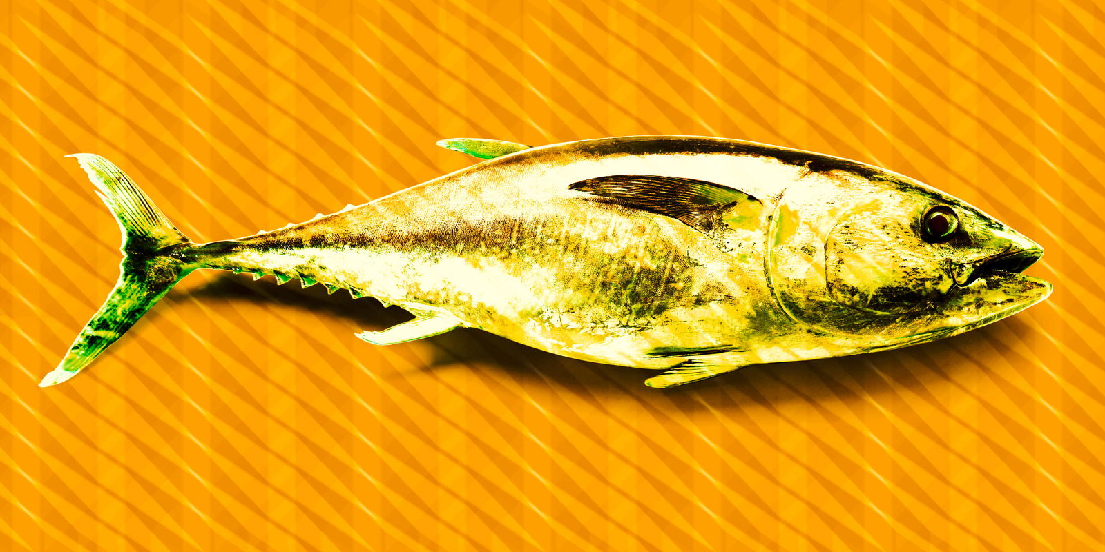 Architects Paper Photo wallpaper Atelier 47