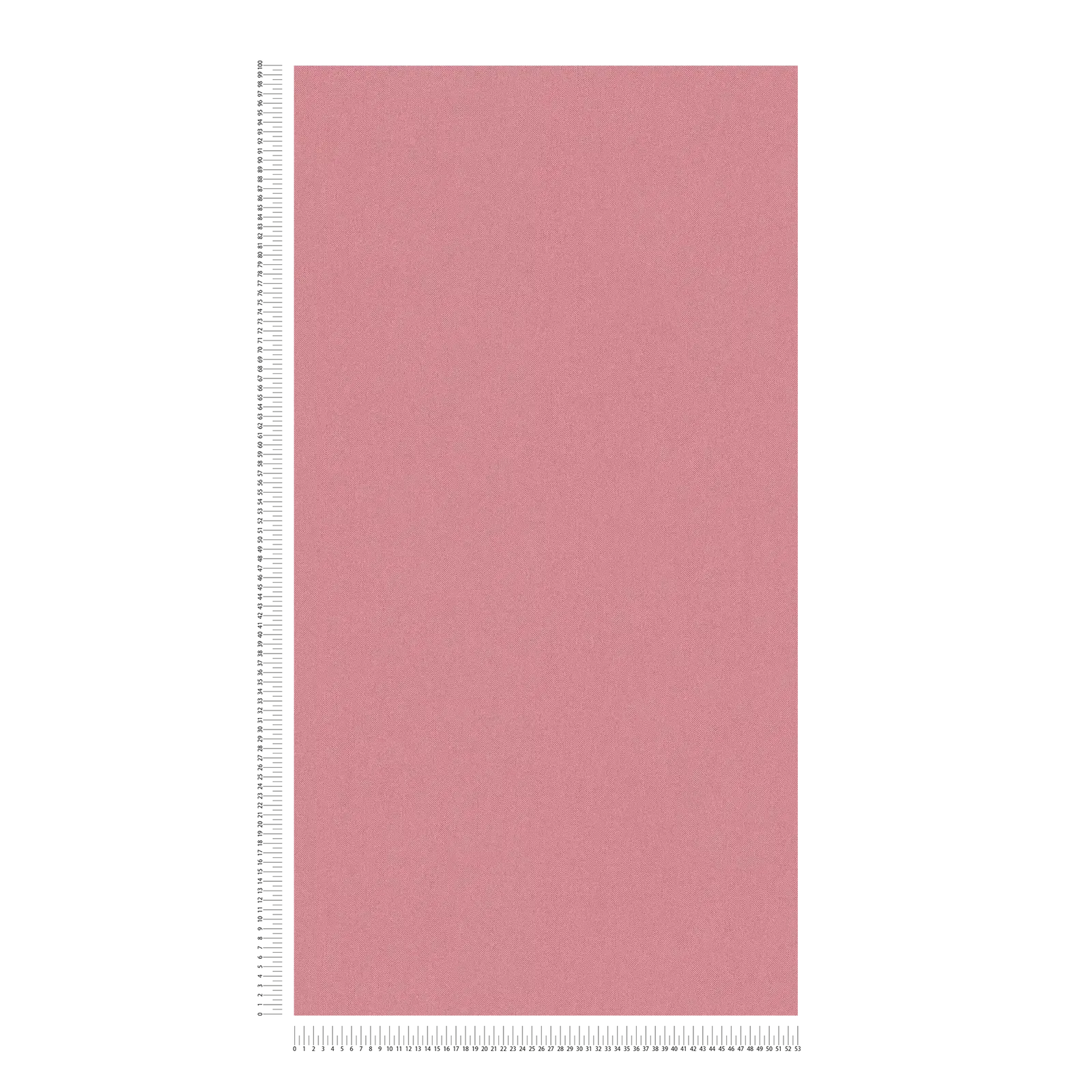 Architects Paper Behang Jungle Chic
