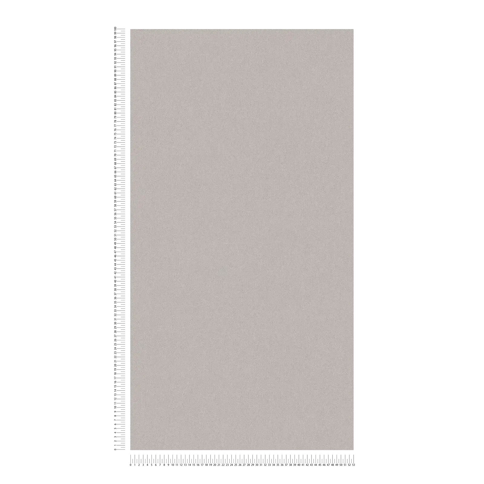 Architects Paper Wallpaper Jungle Chic