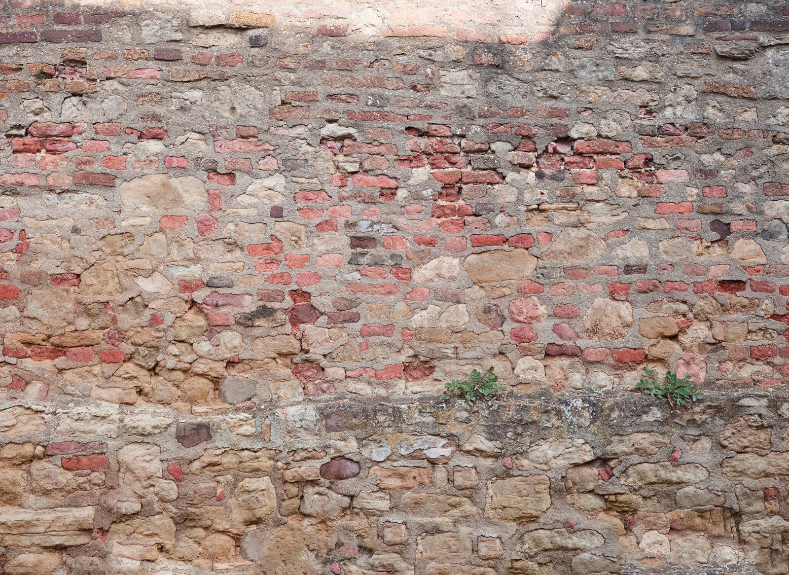 livingwalls Фотообои Designwalls 2