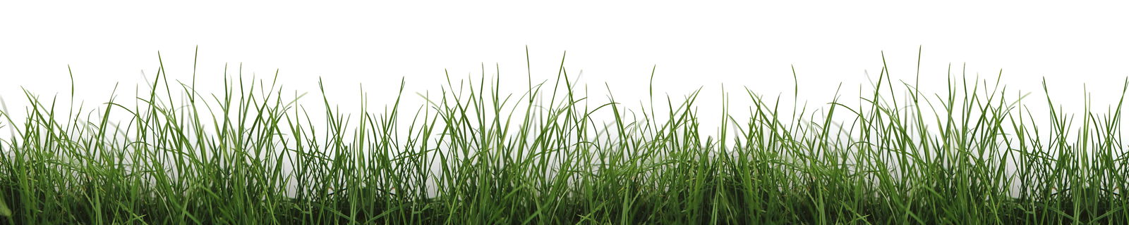 Architects Paper Photo wallpaper AP Digital 2