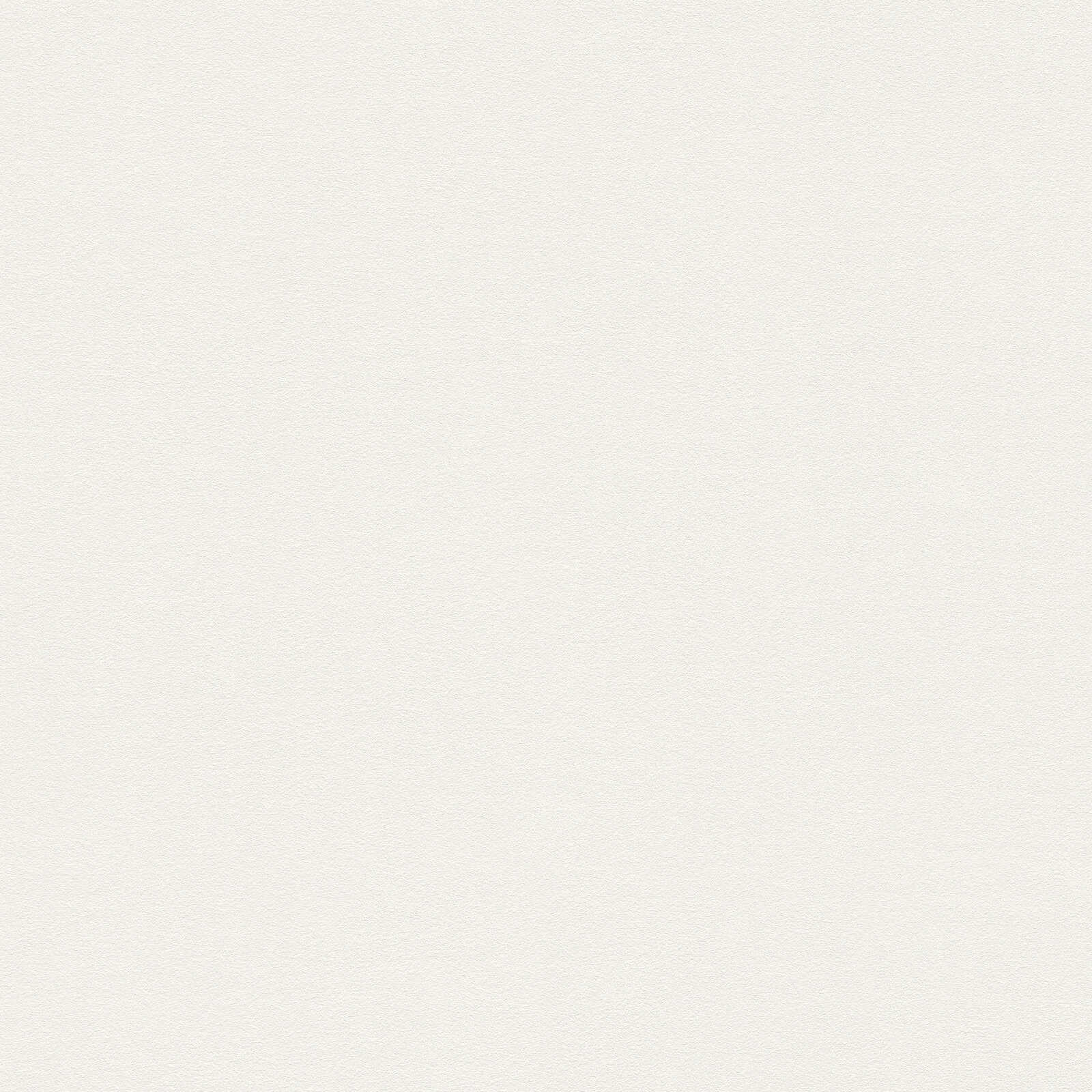 A.S. Création Wallpaper Attractive 3