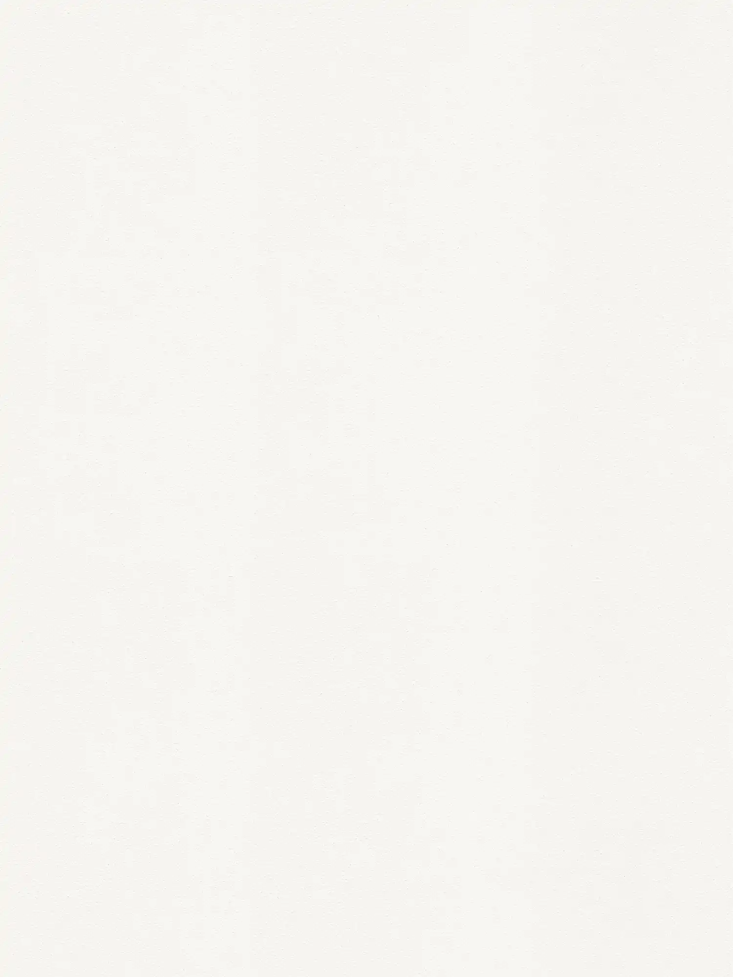 A.S. Création Behang Shades of White