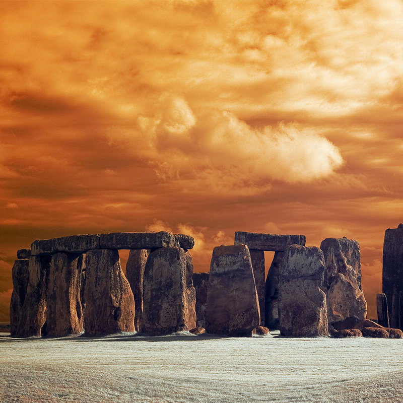 livingwalls Fototapete XXLwallpaper 2