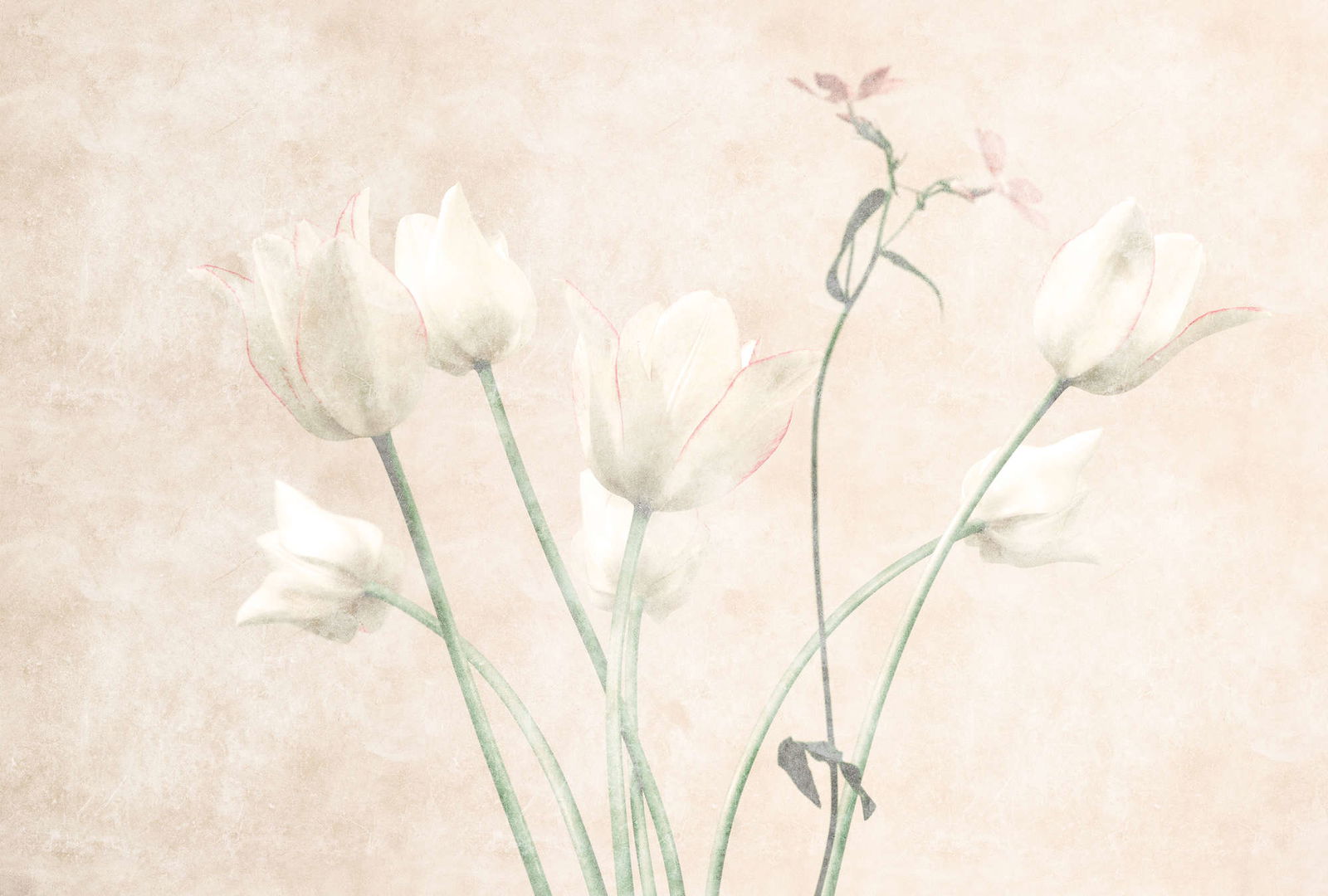 walls by patel Photo wallpaper Walls by Patel 3