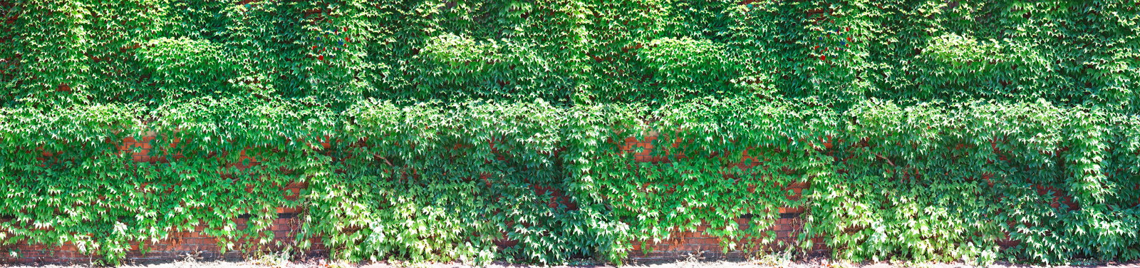 Architects Paper impression numérique AP Digital 2