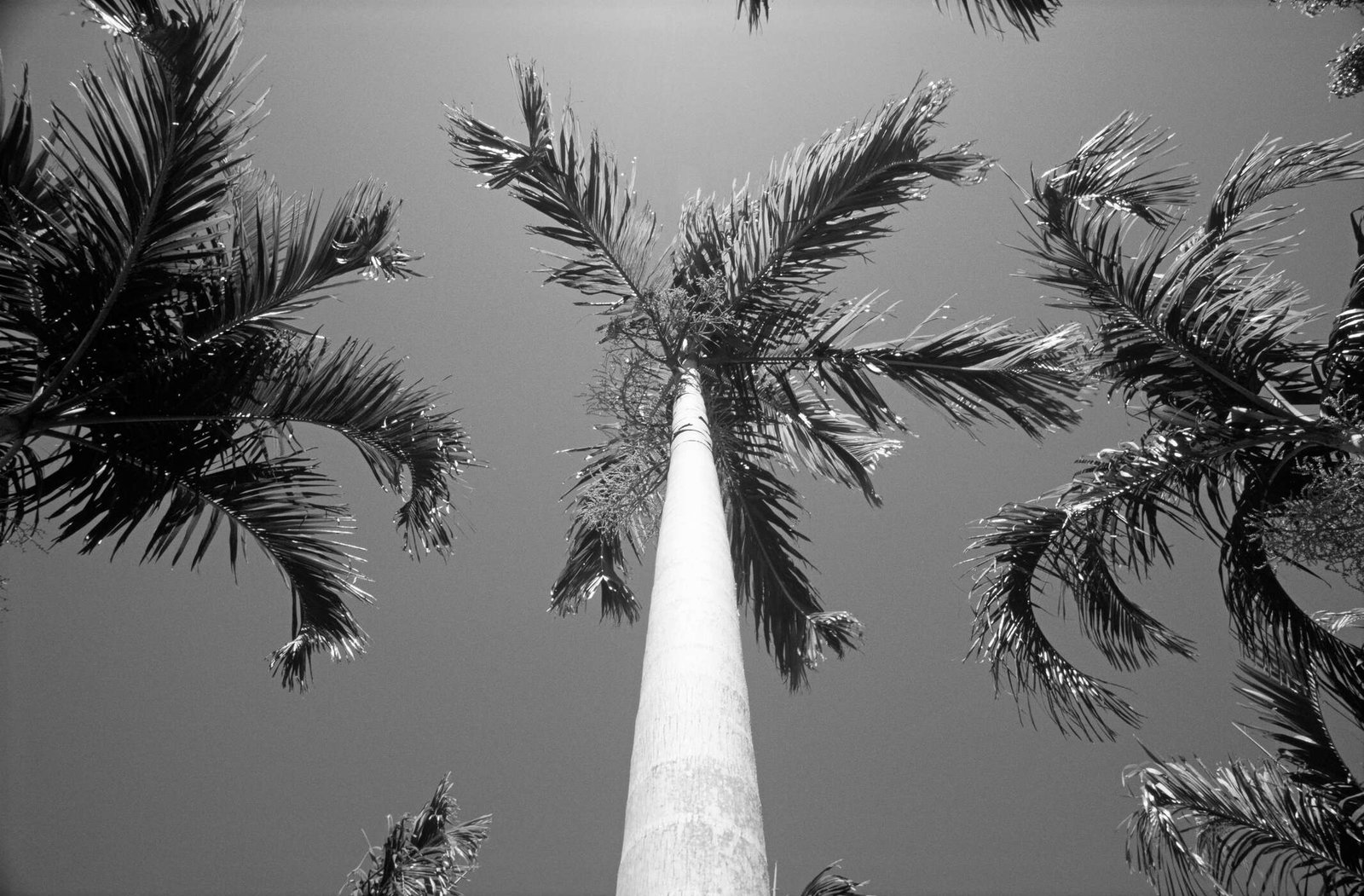Architects Paper Fototapete AP Digital