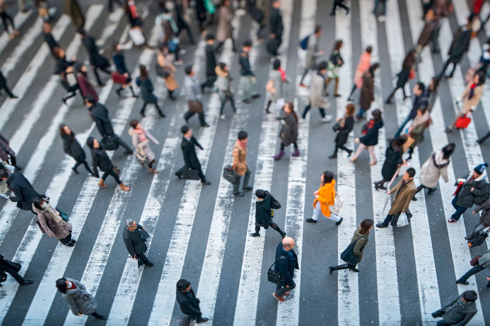 livingwalls Photo wallpaper XXLwallpaper 3