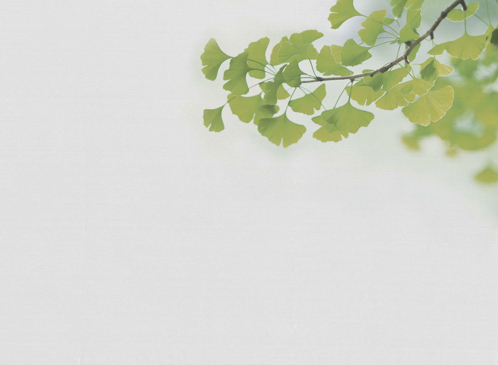 livingwalls Fotobehang Designwalls 2