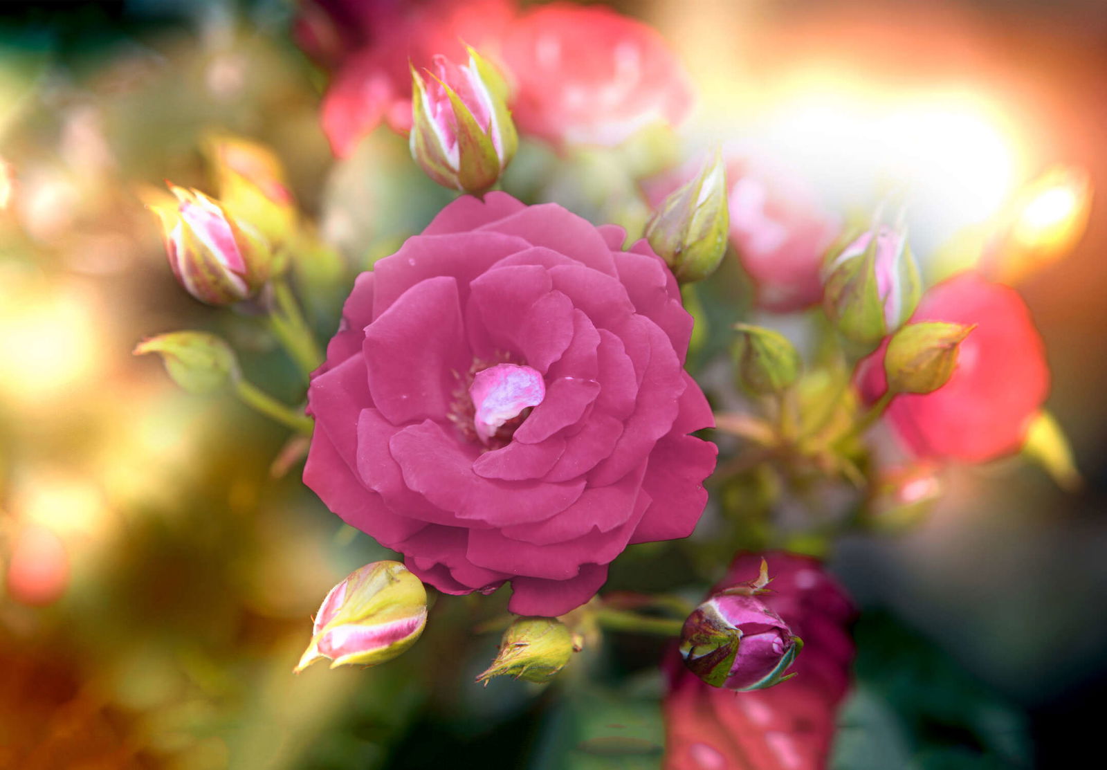 livingwalls Fototapete XXLwallpaper 3