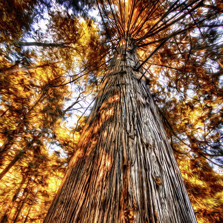 Architects Paper Fotobehang AP Digital 2