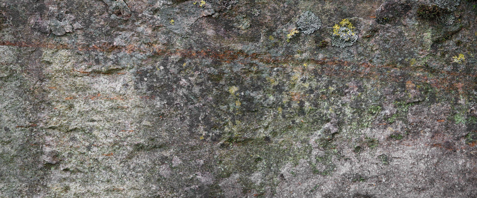 Architects Paper Photo wallpaper AP Digital 4