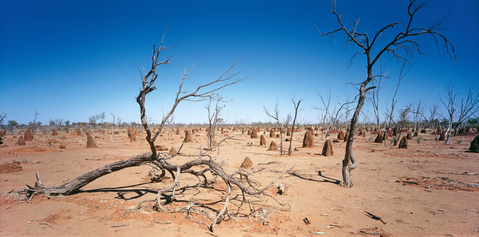 Architects Paper impression numérique AP Digital