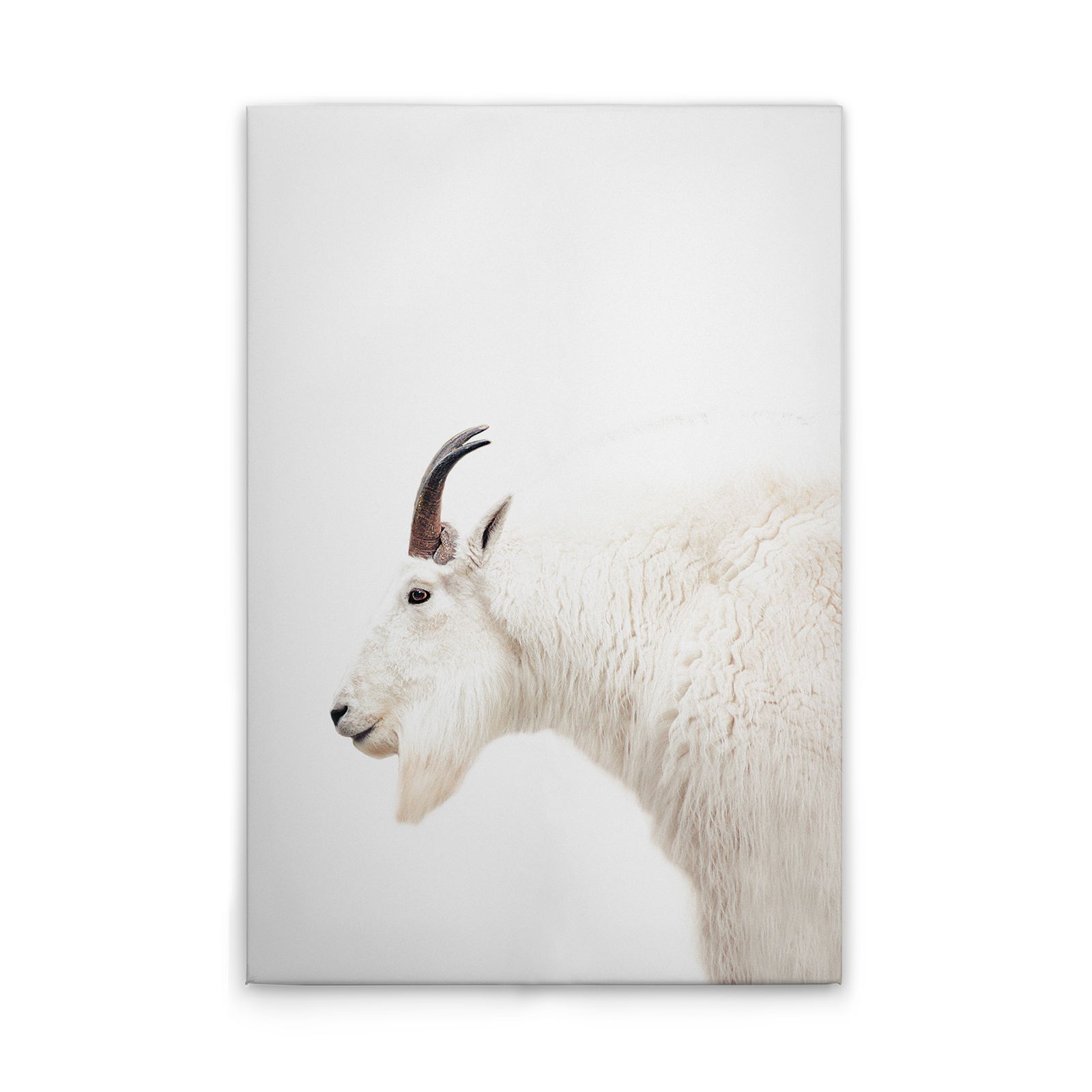 livingwalls Canvas print ARTist