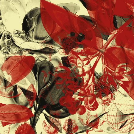 Architects Paper Fotobehang AP Digital